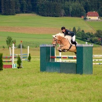 DSC 2437 (Klein)