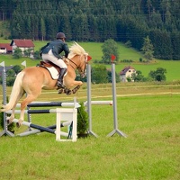 DSC 2381 (Klein)