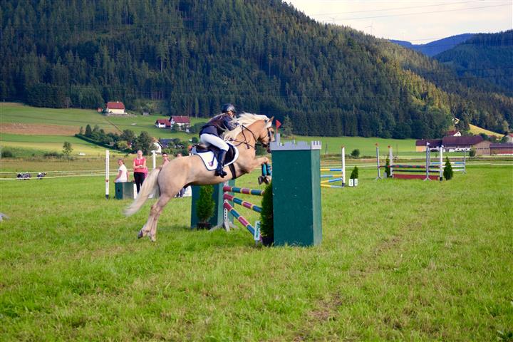 DSC 2268 (Klein)
